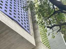 Mexico City's Missing Stars: What Happened and Why It Matters